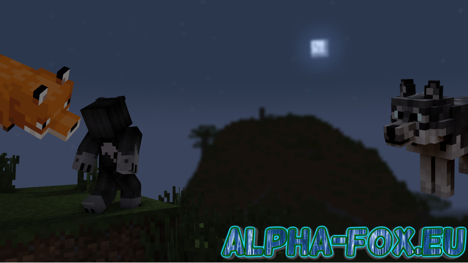 Alpha-fox.eu ist wieder zurück!!!!